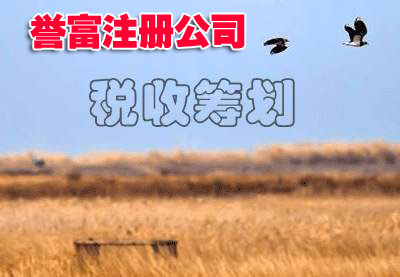 教你如何高效完成上海公司注册? 教你如何高效完成上海公司注册?